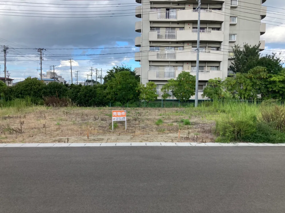 land image 1