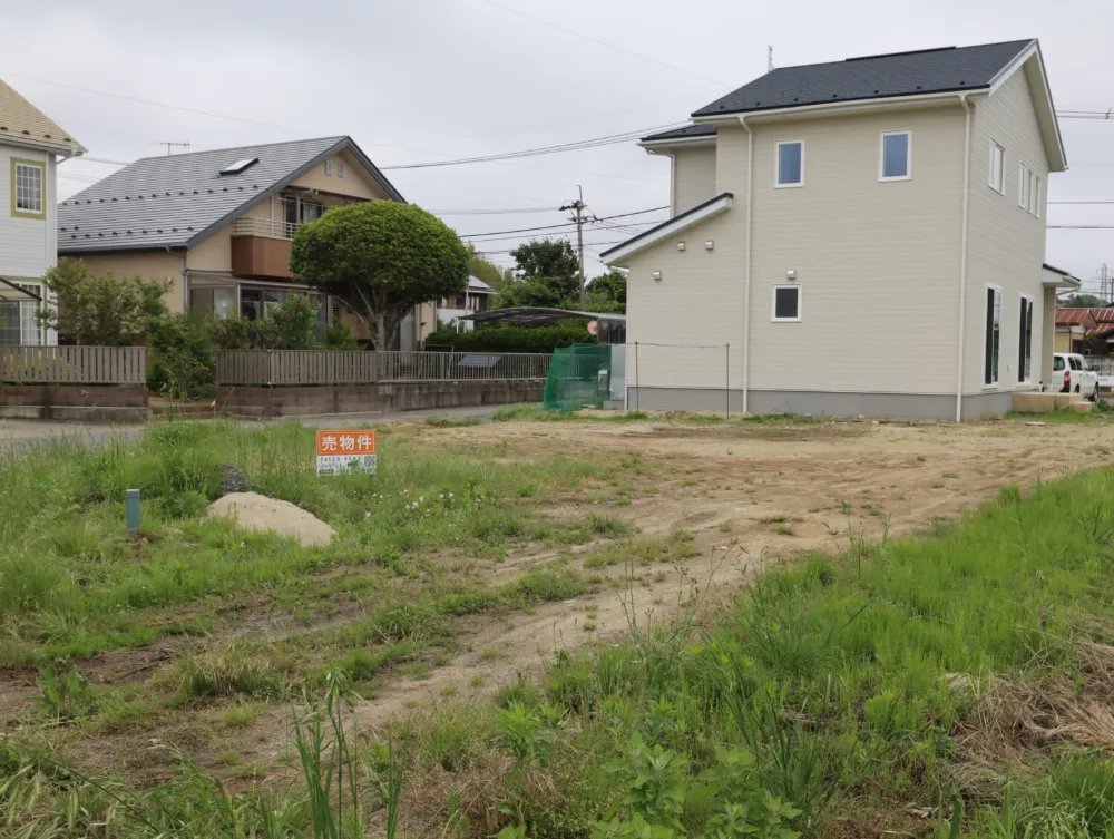 land image 1